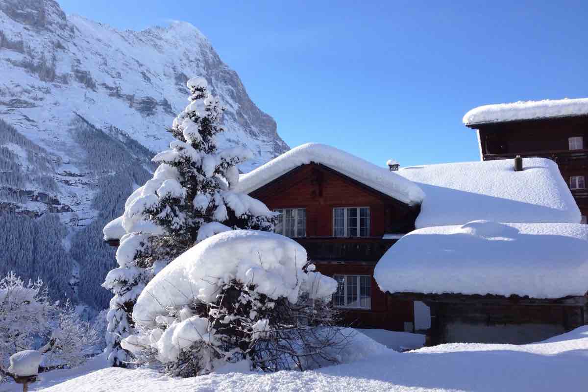 Cosa sta succedendo sulle montagne che rende così felici gli allevatori e i gestori di rifugi: i pro e i contro della crisi climatica