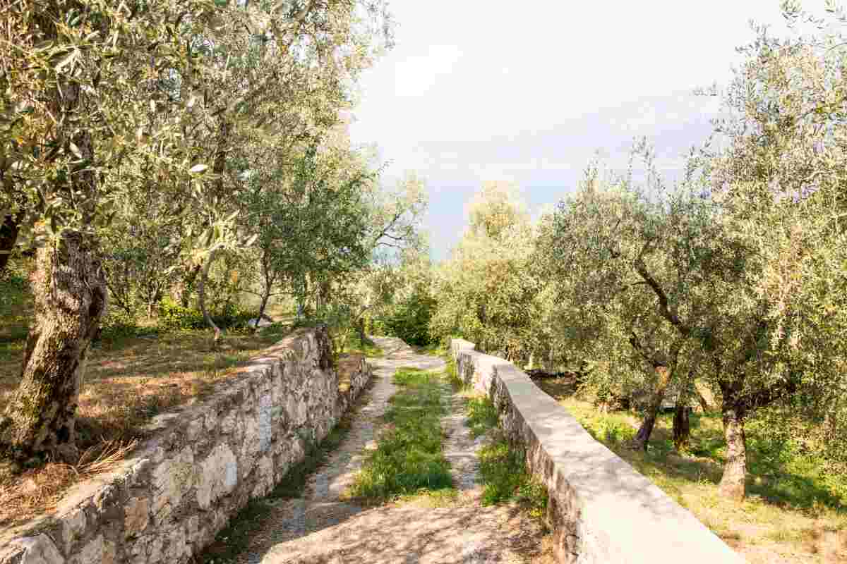 dettagli nuovo sentiero in calabria