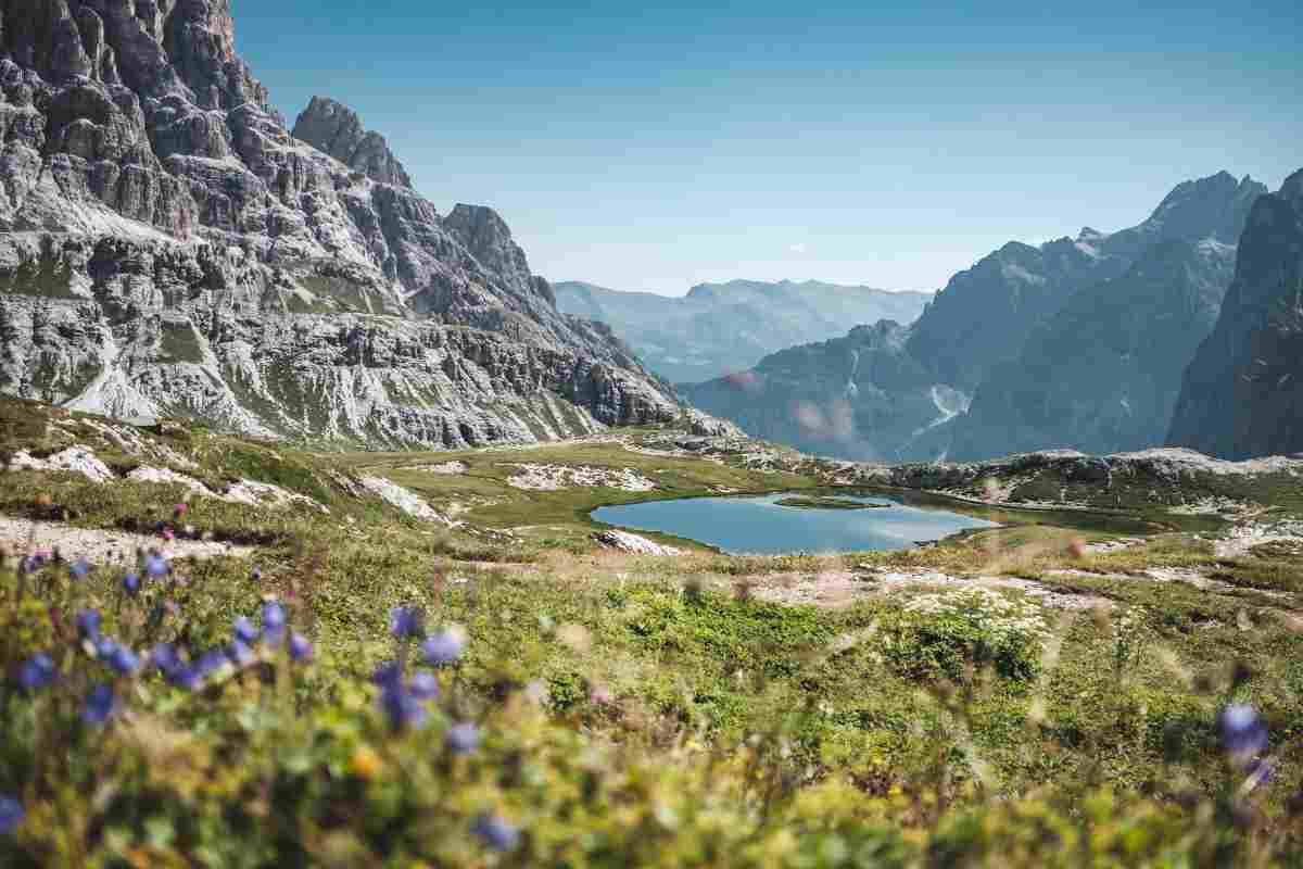 Animali di montagna a rischio per il rumore