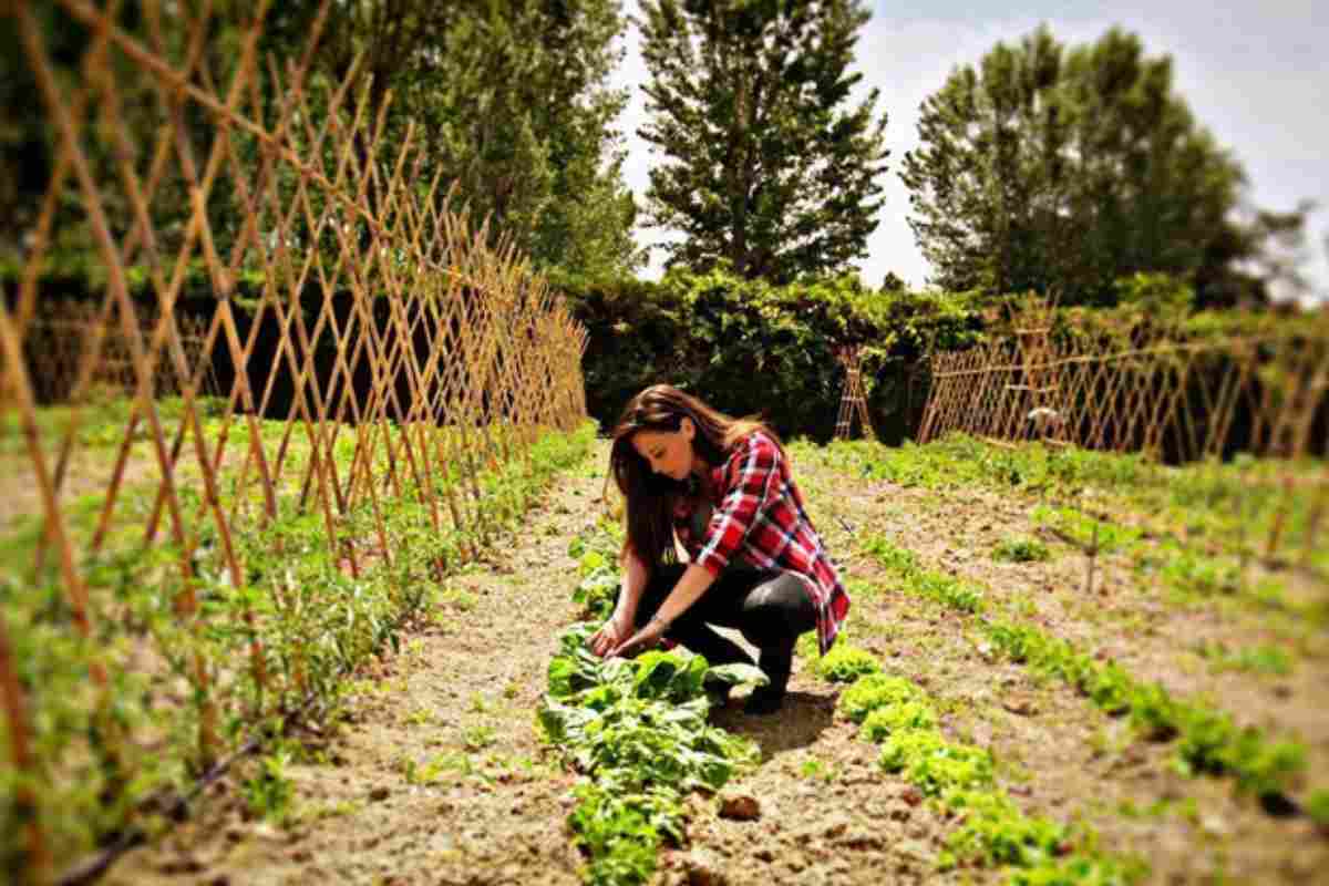 Persone che amano vivere in campagna