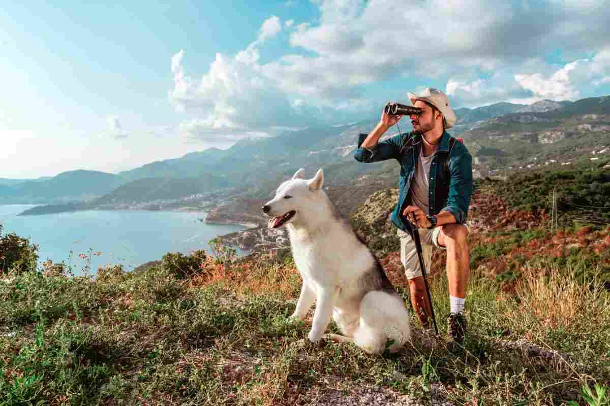 divieto cani in montagna