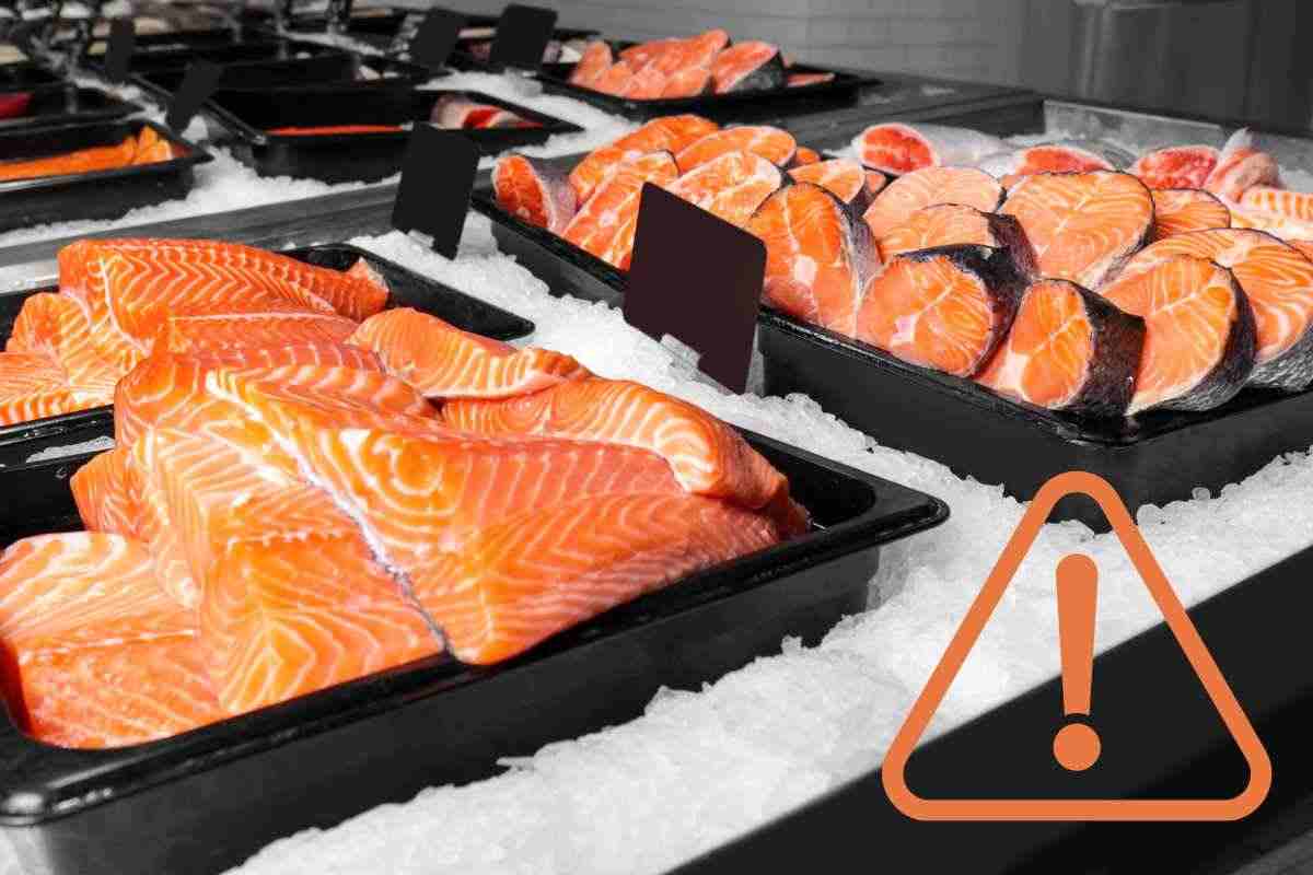 Salmone varietà supermercato tossine