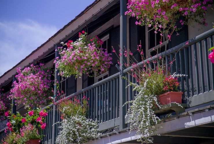 Divieto legge balconi: per vasi piante e fiori