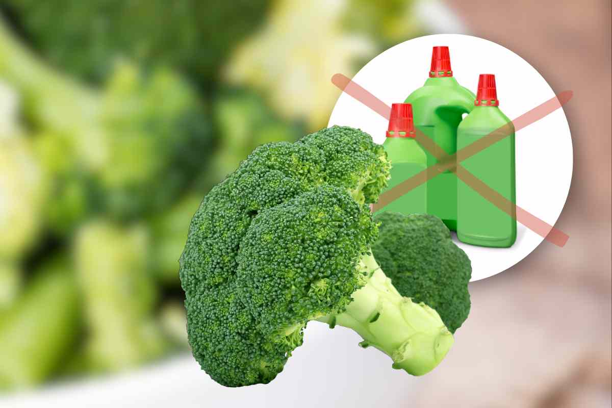Broccoli: eliminare pesticidi