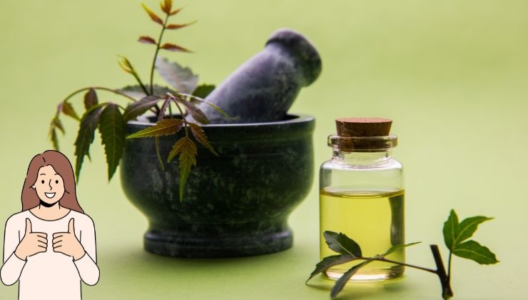olio di neem rimedio naturale
