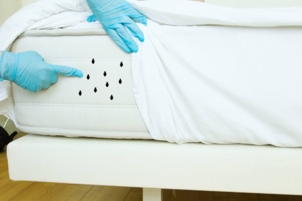 Cimici e altri pericoli del materasso per la salute
