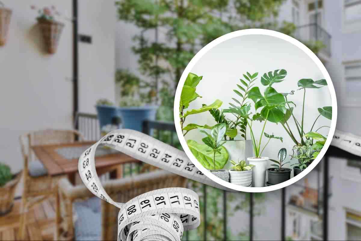 Tecnica per mettere le piante in balcone con poco spazio