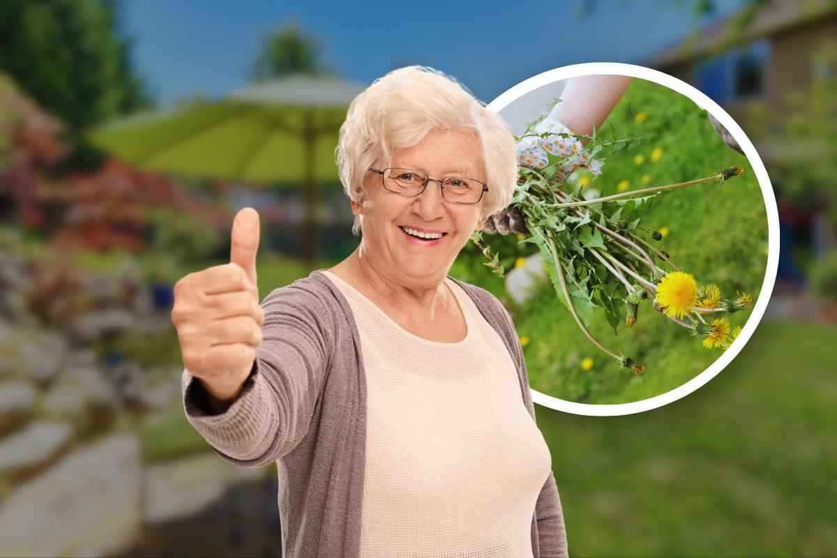 Libera il tuo giardino dalle erbacce trucco