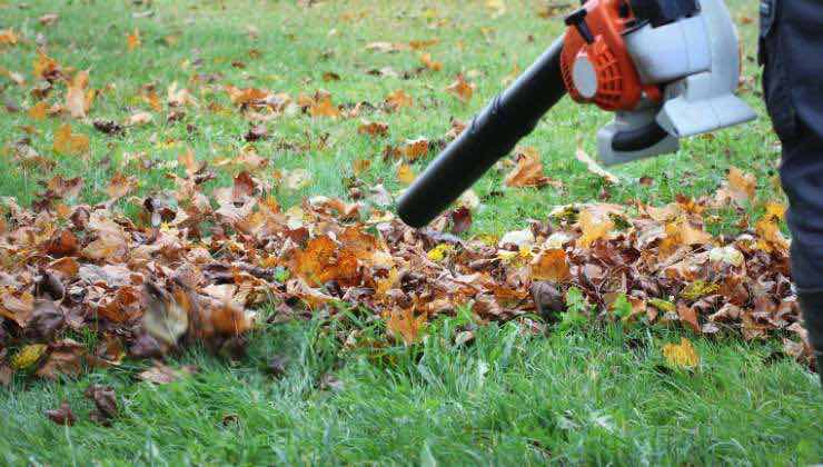 Ecco la soluzione perfetta per dire addio alle foglie in giardino 