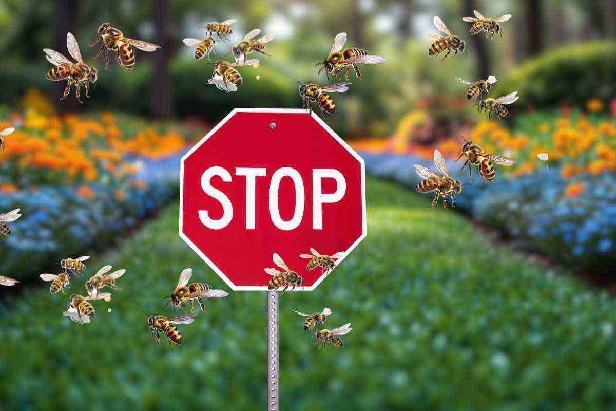La soluzione: stop alle vespe in giardino