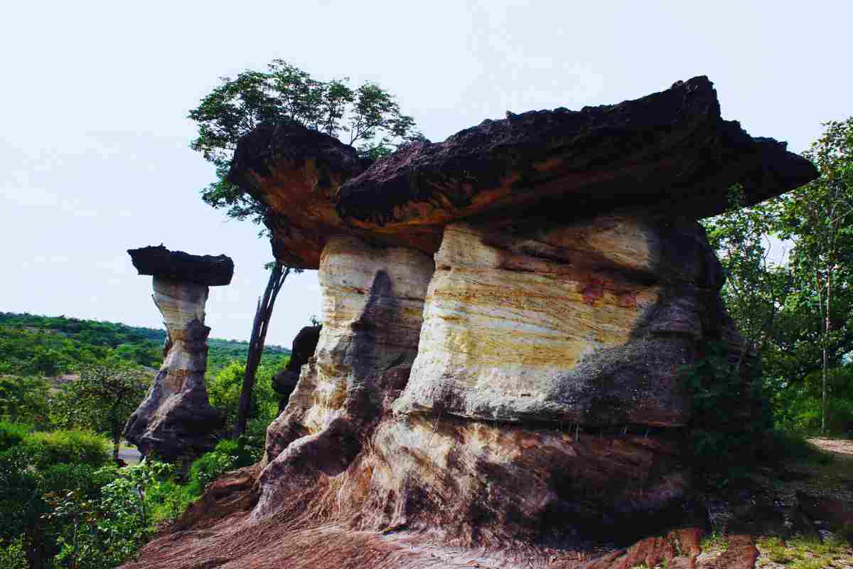 i funghi di roccia che si trovano in Italia