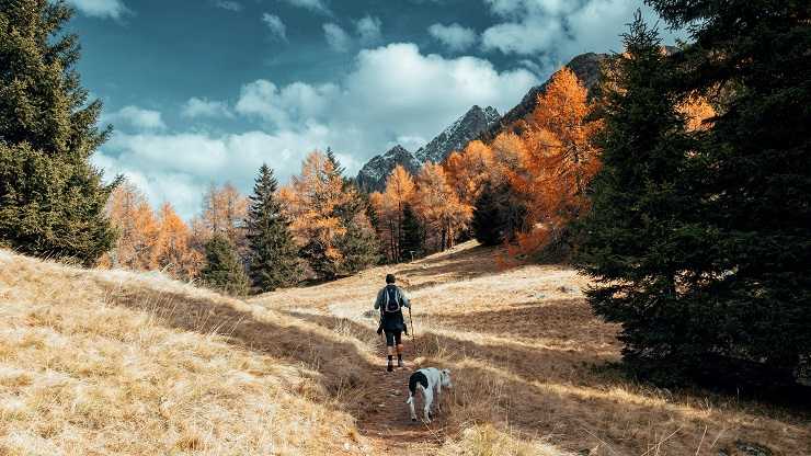 Un uomo che fa trekking in autunno seguito da un cane